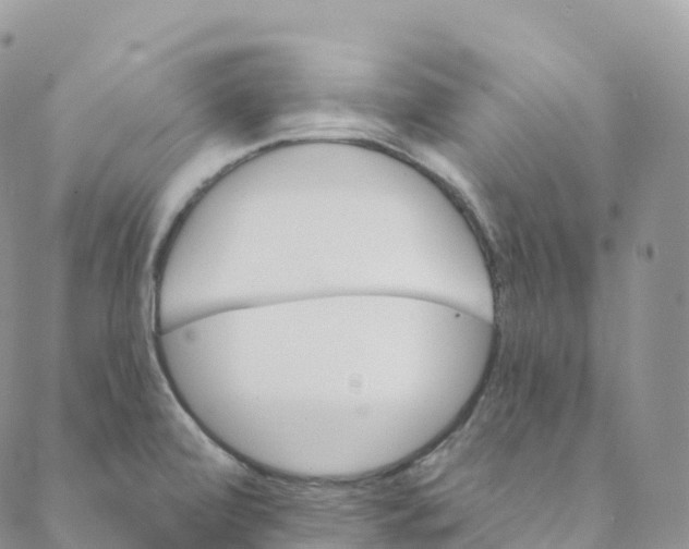 X0000088471472200706121517