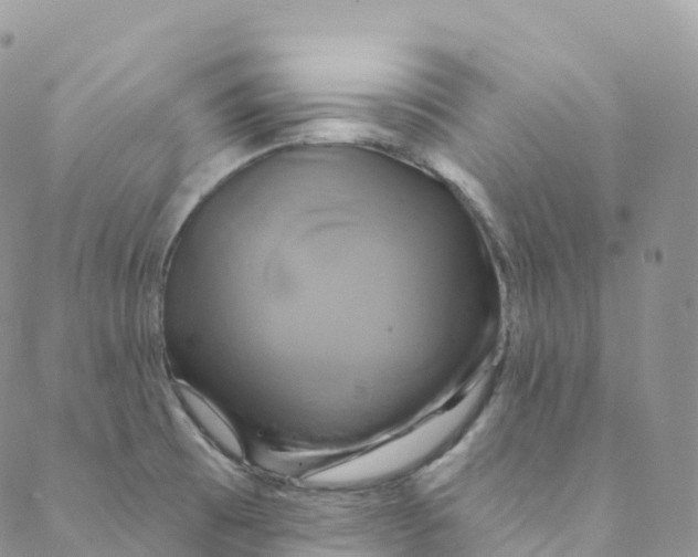 X0000088471473200706121517