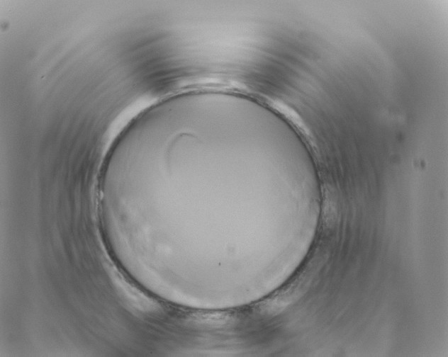 X0000088471474200706121517