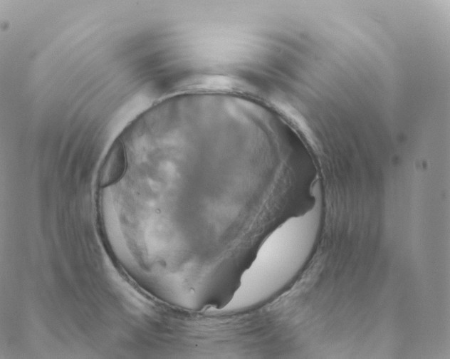 X0000088471475200706121517