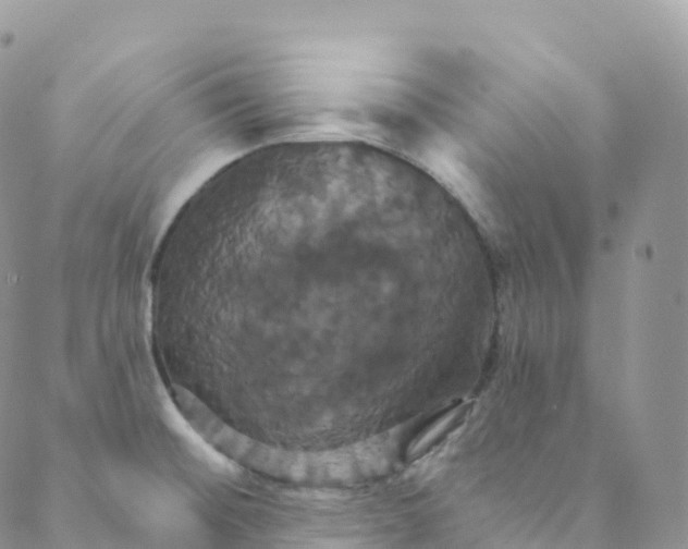 X0000088471476200706121517