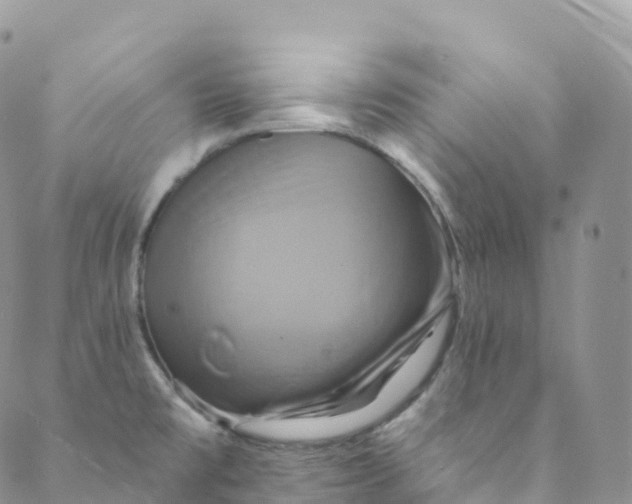 X0000088471477200706121517