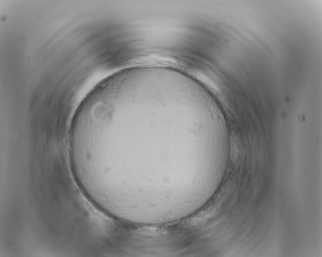 X0000088471478200706121517