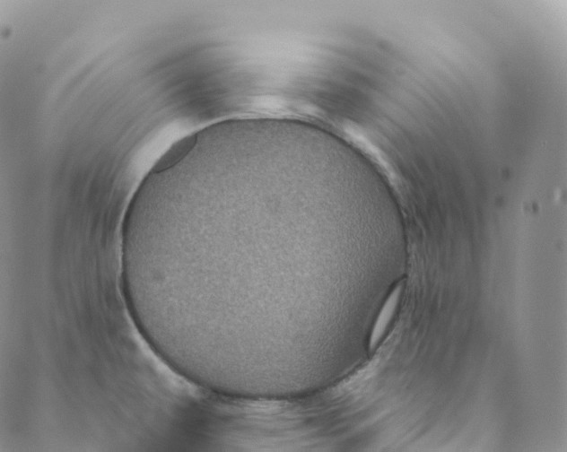 X0000088471479200706121517