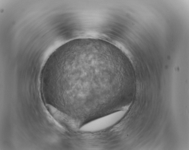 X0000088471480200706121517