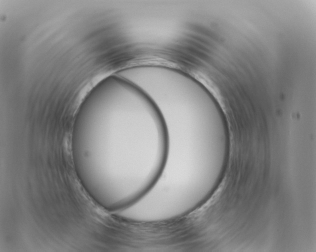 X0000088471481200706121517