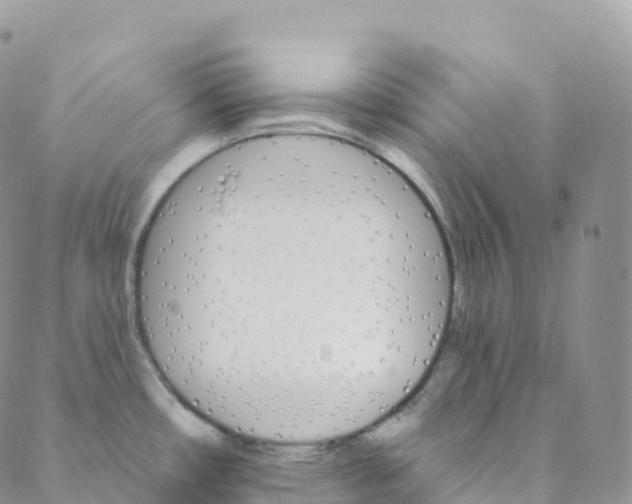 X0000088471482200706121517