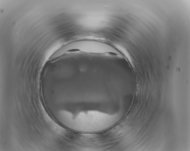 X0000088471483200706121517