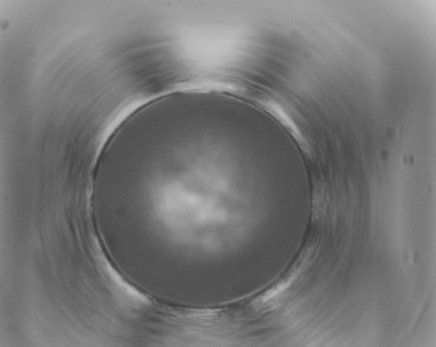 X0000088471484200706121517