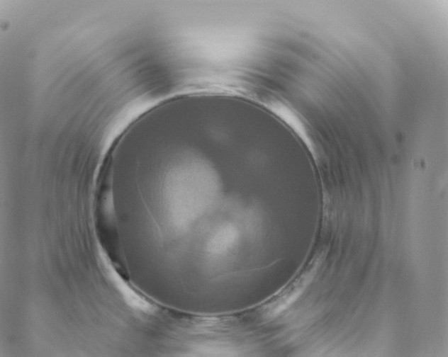 X0000088471485200706121517