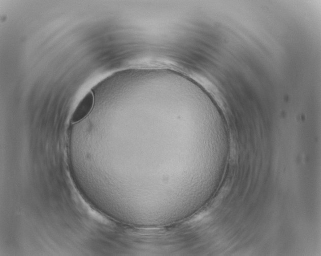 X0000088471486200706121517