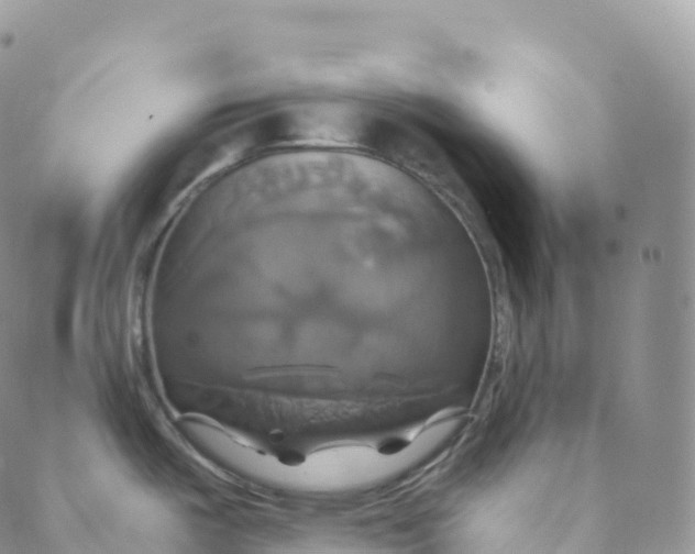 X0000088471487200706121517