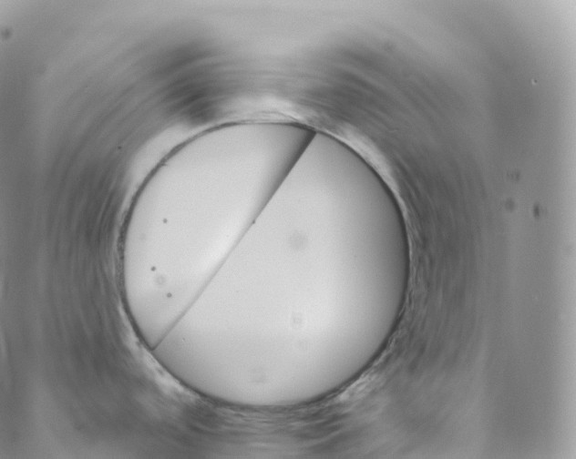 X0000088471488200706121517