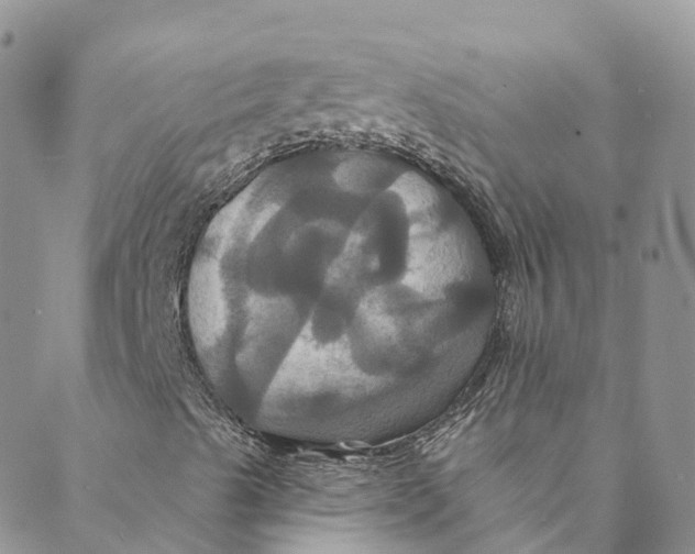 X0000088471489200706121516