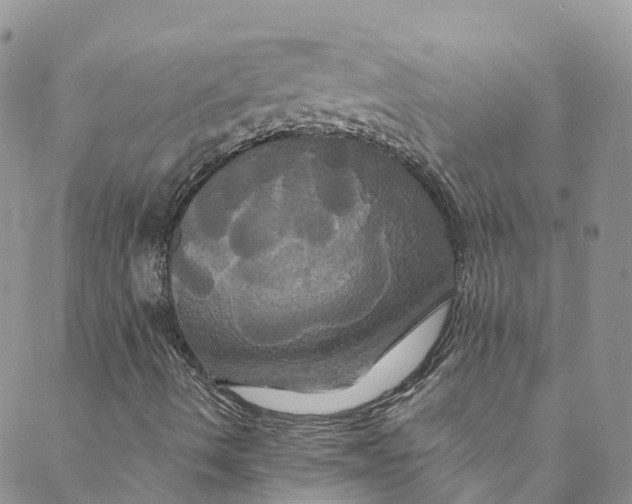 X0000088471490200706121516