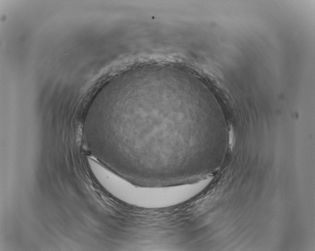 X0000088471492200706121516