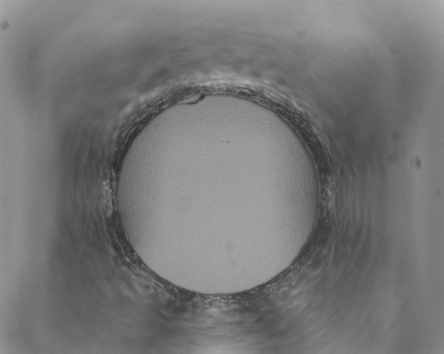 X0000088471493200706121516