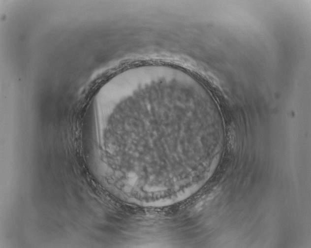 X0000088471494200706121516