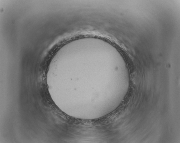 X0000088471495200706121516