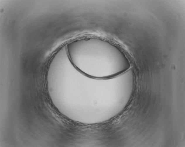 X0000088471496200706121516