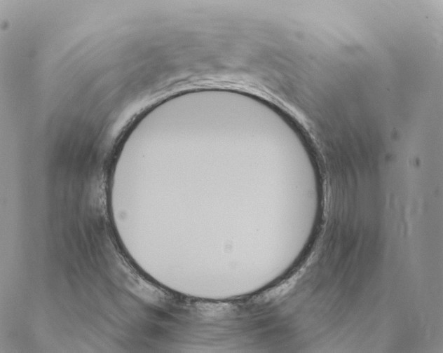 X0000088471498200706121516