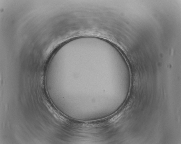 X0000088471499200706121516