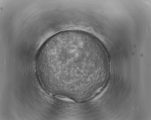 X0000088471501200706121516