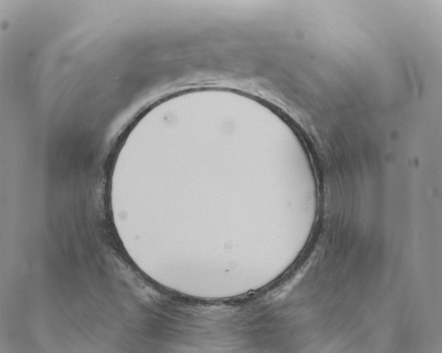 X0000088471502200706121516