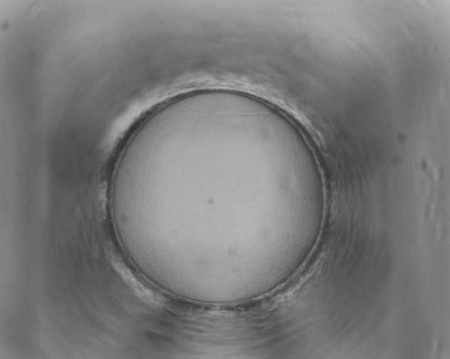 X0000088471503200706121516