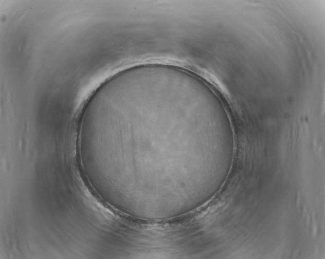 X0000088471504200706121516