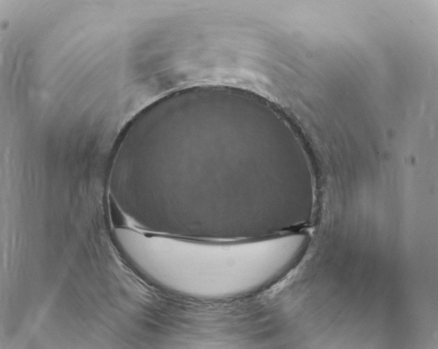 X0000088471505200706121516