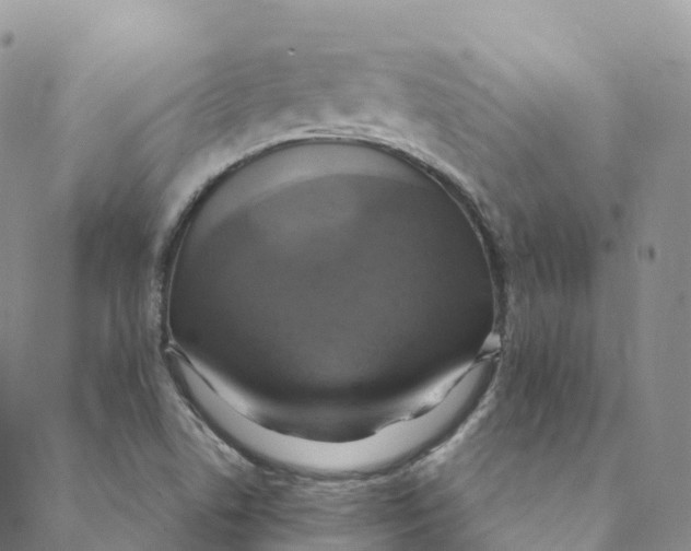 X0000088471506200706121516