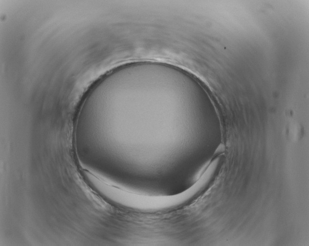 X0000088471507200706121516