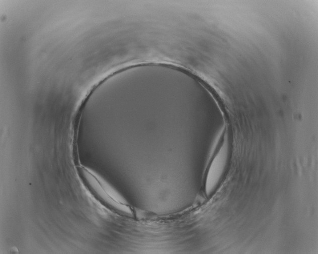 X0000088471508200706121516