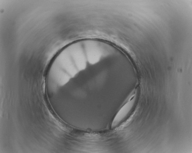 X0000088471509200706121516