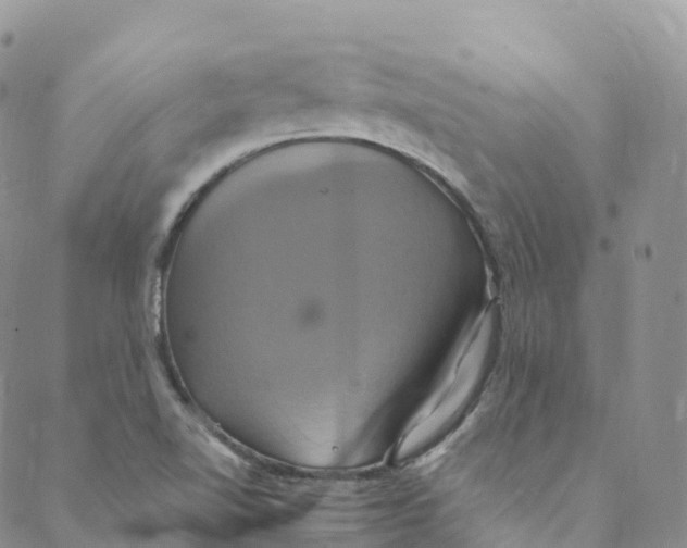 X0000088471510200706121516