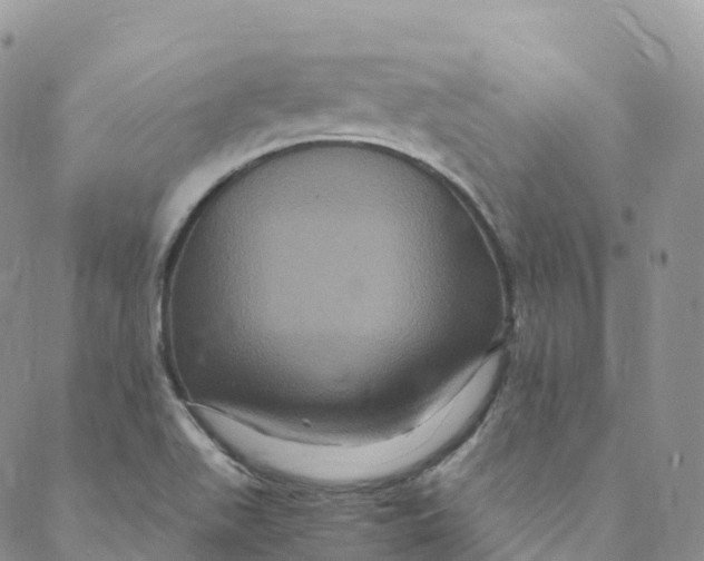 X0000088471511200706121516