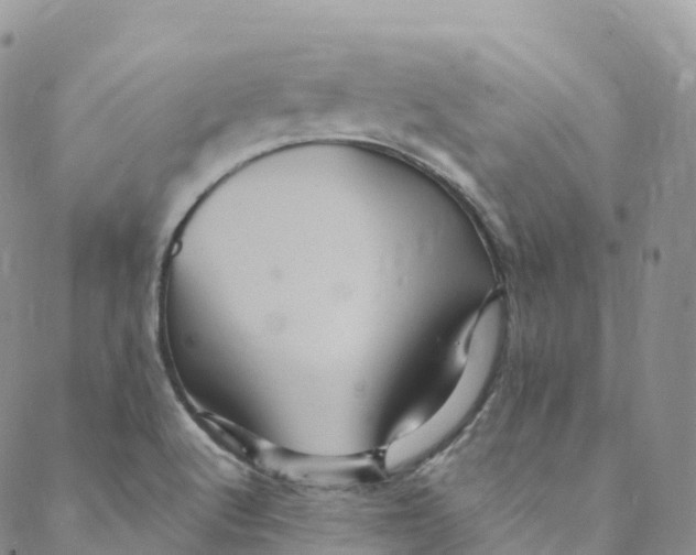 X0000088471512200706121516