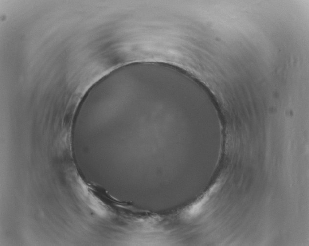 X0000088471513200706121516