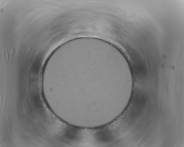 X0000088471514200706121516