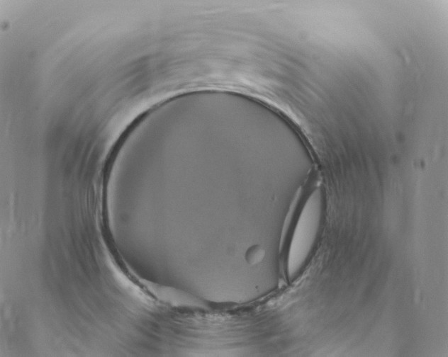 X0000088471515200706121516