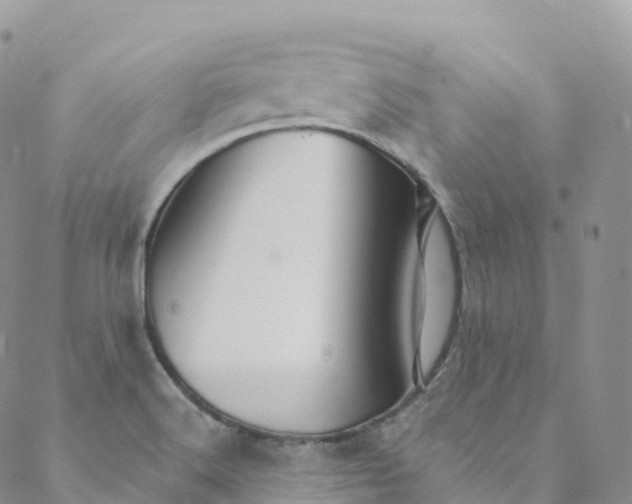 X0000088471516200706121516