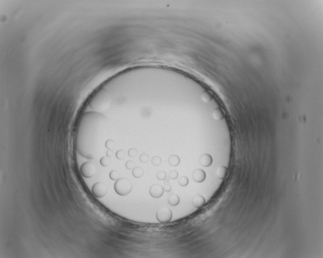 X0000088471517200706121516