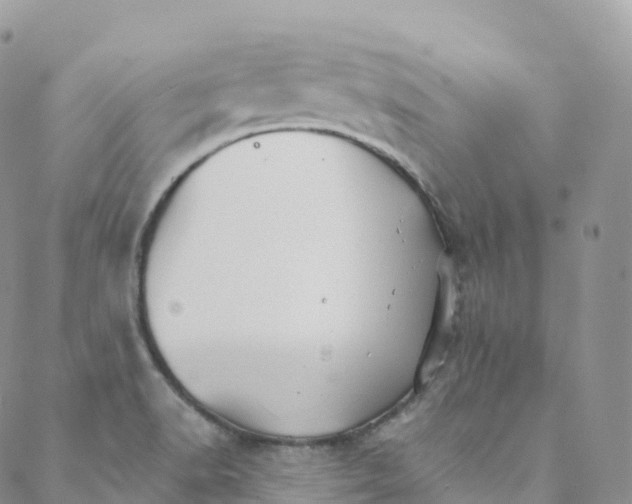 X0000088471518200706121516