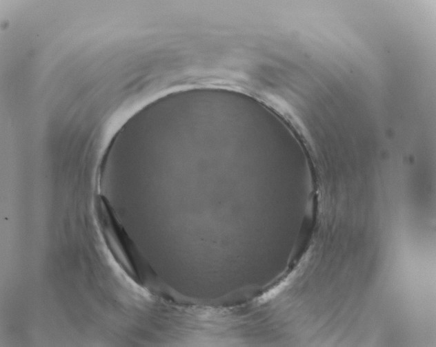 X0000088471520200706121516