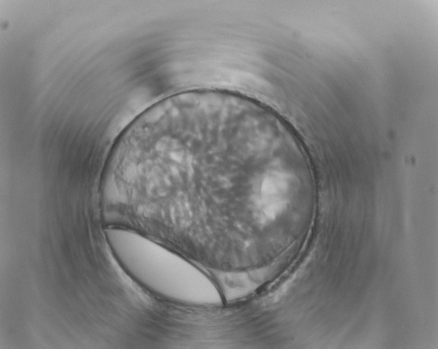 X0000088471521200706121516