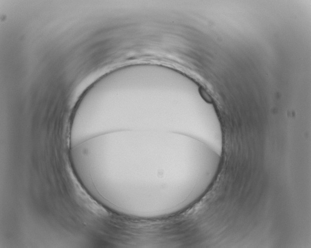 X0000088471522200706121516