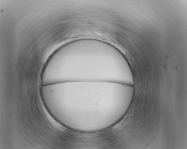 X0000088471523200706121516