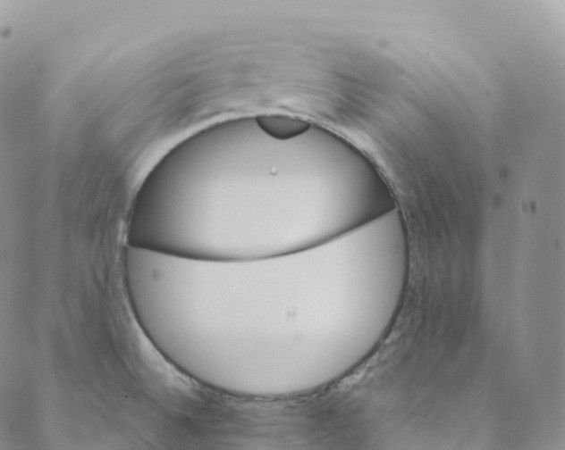 X0000088471524200706121516