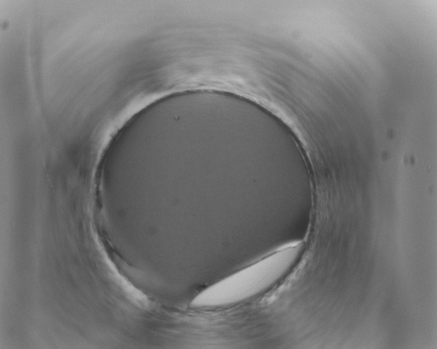 X0000088471525200706121516